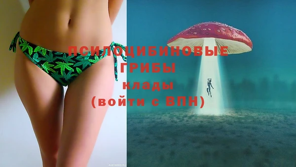 таблы Алексин