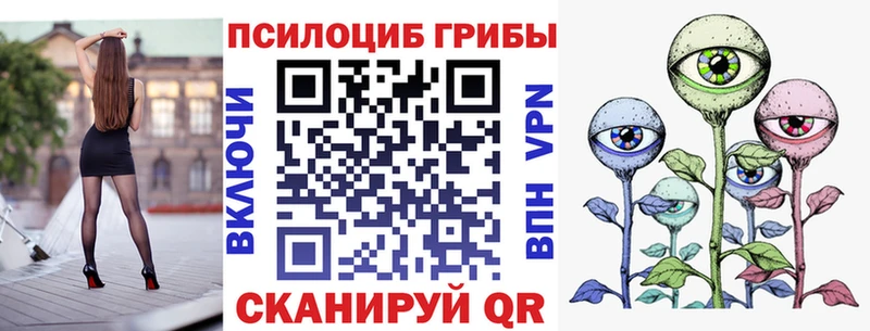 Купить закладки Крымск Галлюциногенные грибы Psilocybine cubensis